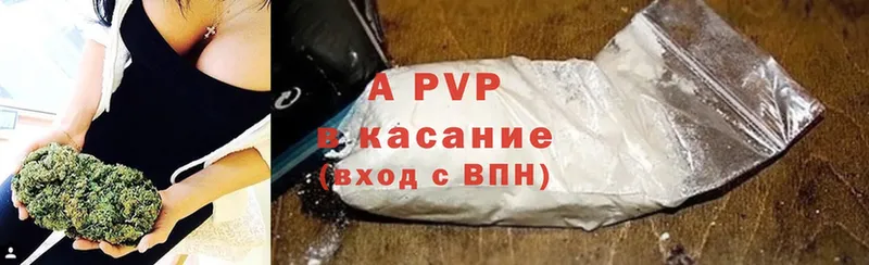 где продают наркотики  Камышлов  Alfa_PVP кристаллы 